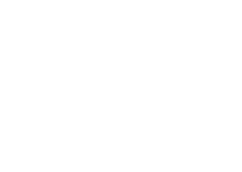 Scouting Netherlands logo